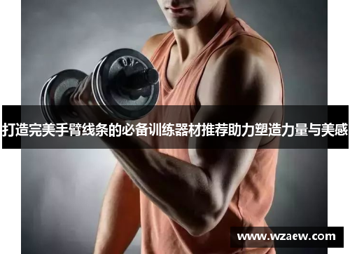 打造完美手臂线条的必备训练器材推荐助力塑造力量与美感
